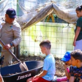 ¡Niños podrán entrar gratis al Zoológico de Cali!: Esta es la fecha y requisitos