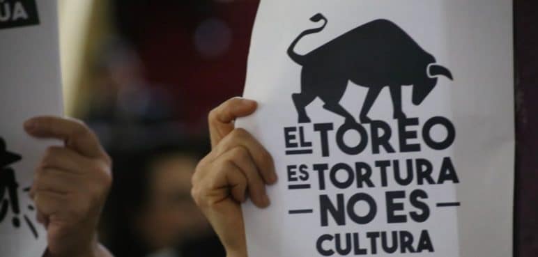 Pasa a sanción presidencial ley que prohíbe las corridas de toros en Colombia