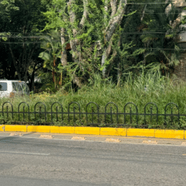 Separadores viales