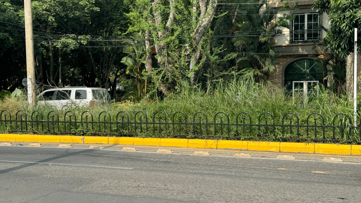 Separadores viales