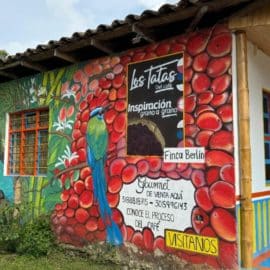 Especiales 90: Crisis en el sector del turismo en zona rural de Jamundí ¿Cuál es el panorama?