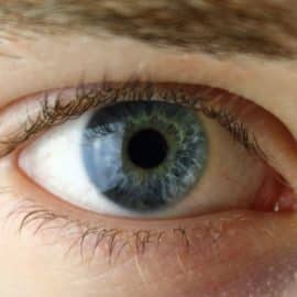 Increíble: La ciencia revela que los ojos azules tienen un único ancestro en común