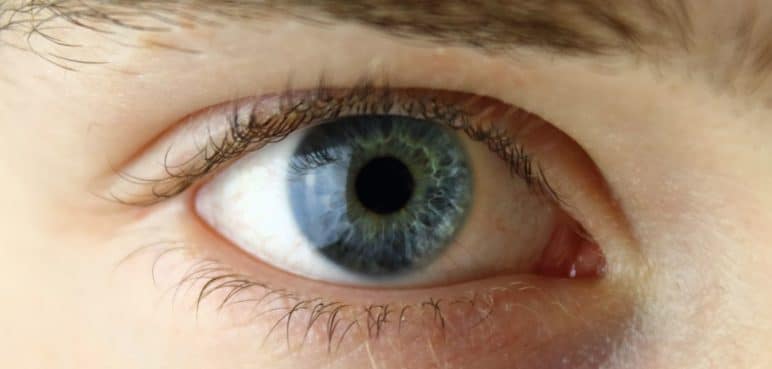 Increíble: La ciencia revela que los ojos azules tienen un único ancestro en común