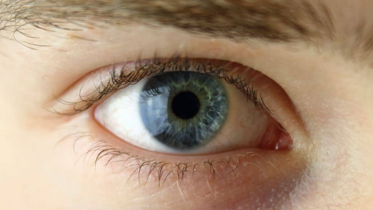 Increíble: La ciencia revela que los ojos azules tienen un único ancestro en común