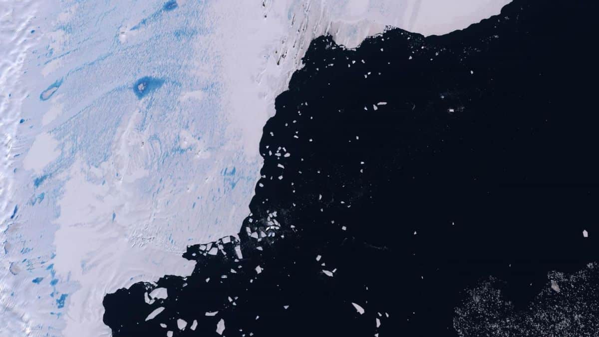 La Antártida tendría un problema de descongelamiento gravísimo