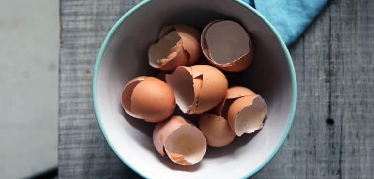Los versátiles usos de las cáscaras de huevo; una solución más para el hogar