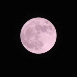 Un espectáculo celestial: La "Luna de Fresa" iluminará el cielo de junio