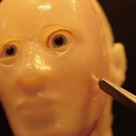 ¡Increíble! Investigadores japoneses desarrollaron un robot con piel humana
