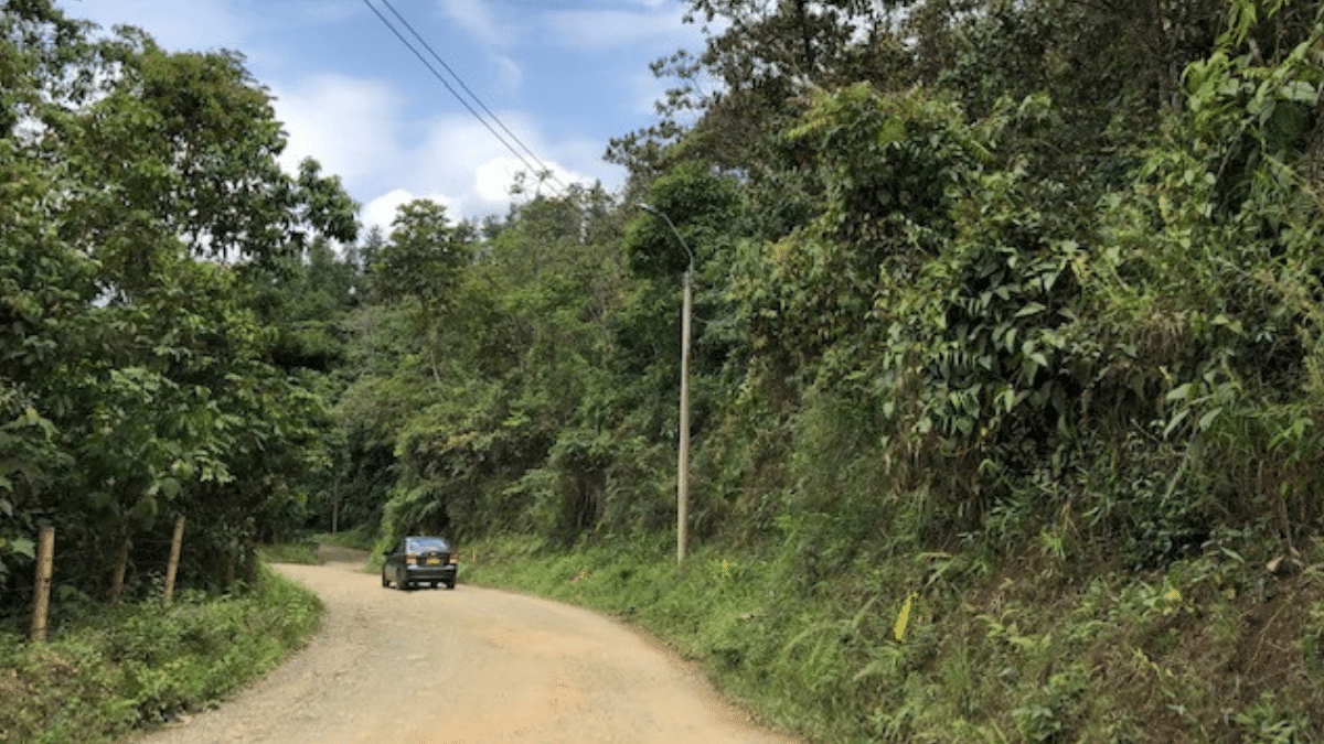 Tribunal Administrativo del Valle ordenó pavimentar el Tramo 1 de la Vuelta Occidente