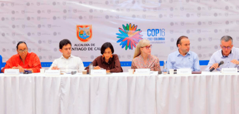 Cuenta regresiva para la COP16: Detalles sobre los preparativos de la fase final