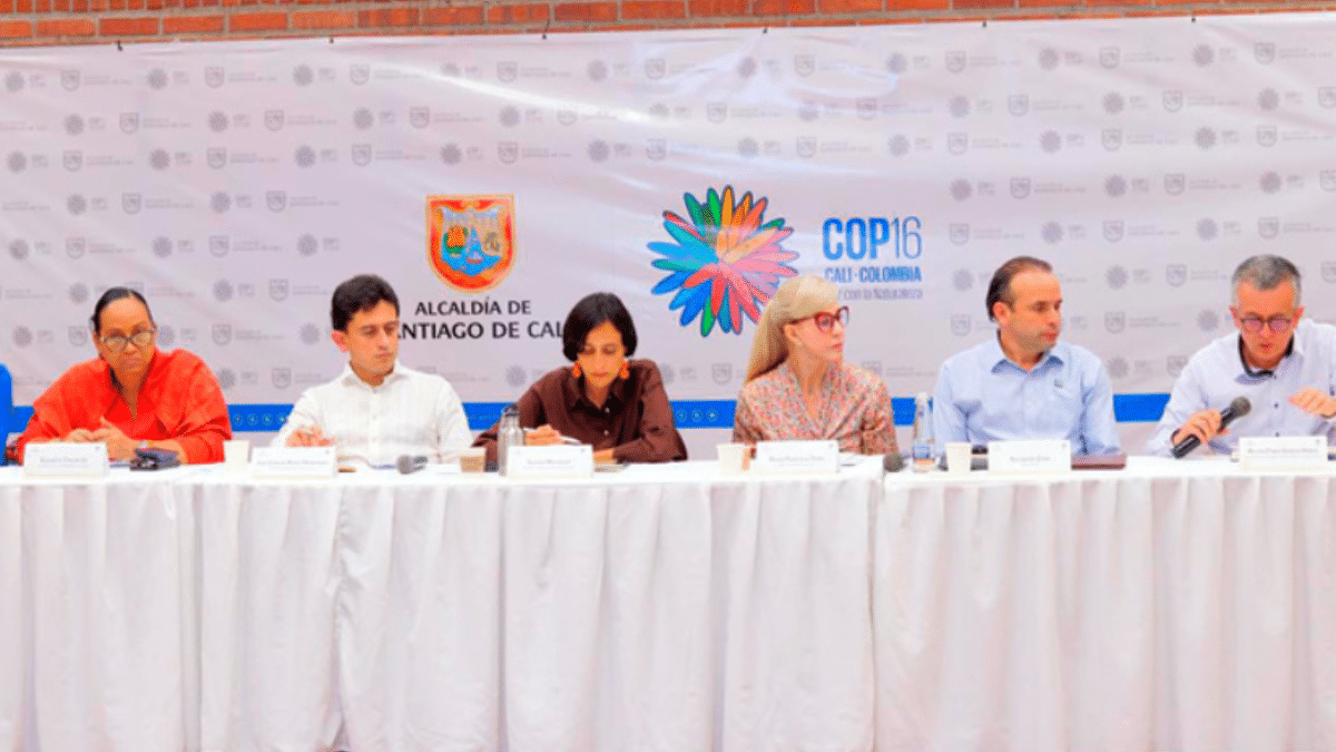 Cuenta regresiva para la COP16: Detalles sobre los preparativos de la fase final