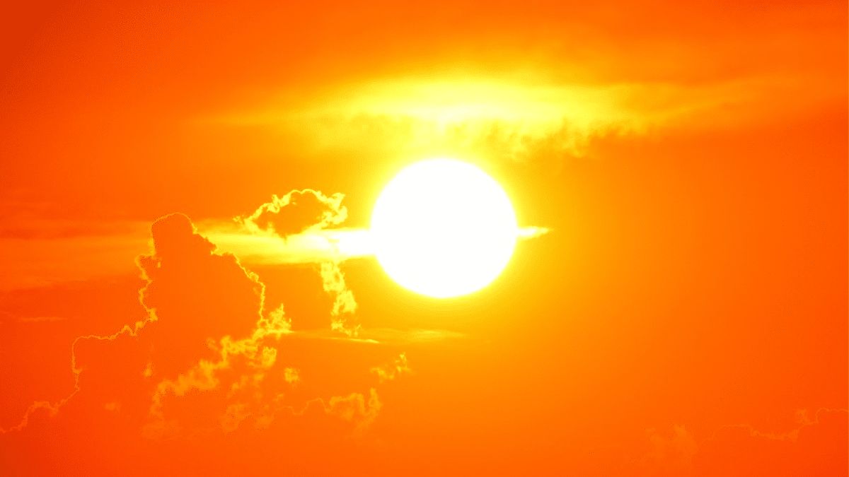 Así podrá participar en la observación solar en la Biblioteca Departamental