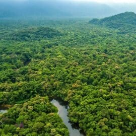 Colombia registró su cifra de deforestación más baja en 23 años
