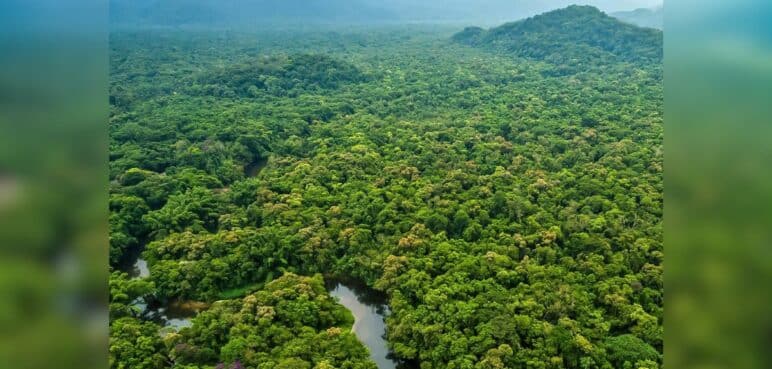 Colombia registró su cifra de deforestación más baja en 23 años