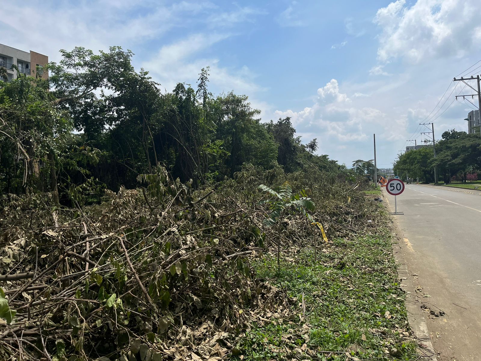 denuncian daño bochalema