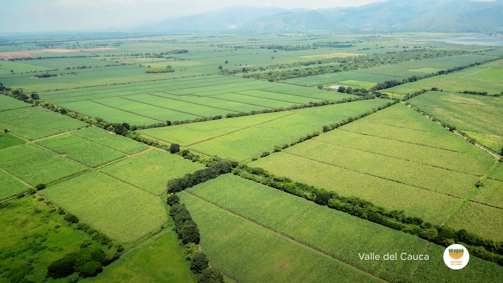 Valle del Cauca, líder en índice de competitividad 2024