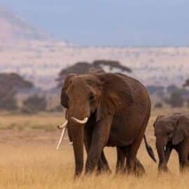 África oculta: Maravillas del continente africano que pueden sorprender al mundo