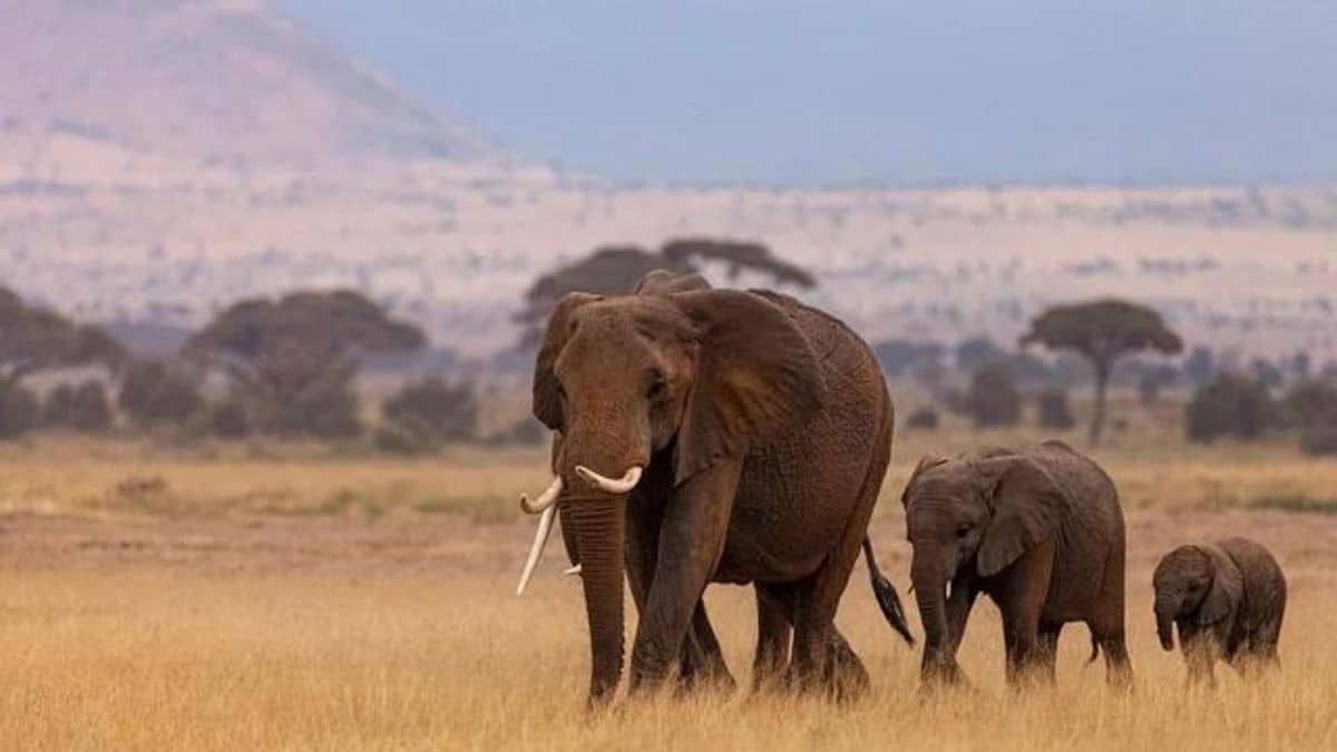 África oculta: Maravillas del continente africano que pueden sorprender al mundo