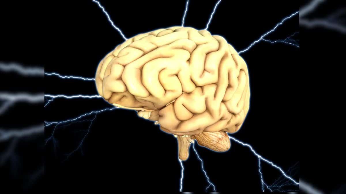 Hábitos para un cerebro sano: Conozca cómo prevenir enfermedades neurológicas