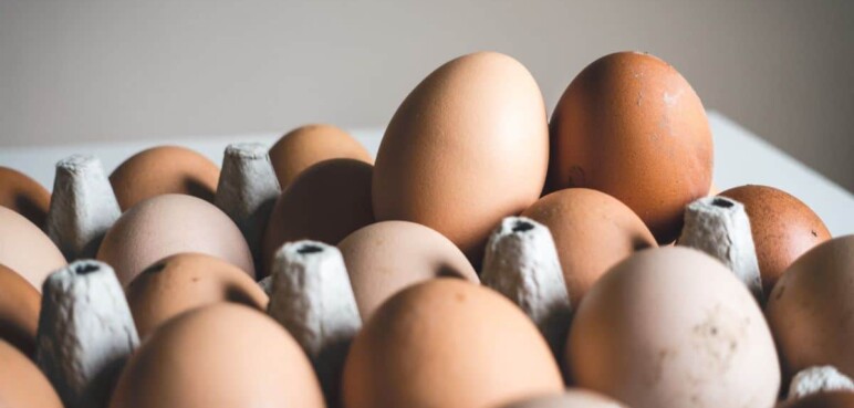 ¿Hasta cuántos huevos a la semana se pueden consumir? Esto dicen los expertos