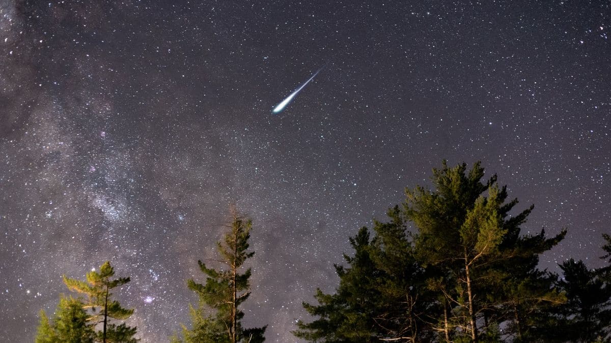 lluvia de estrellas