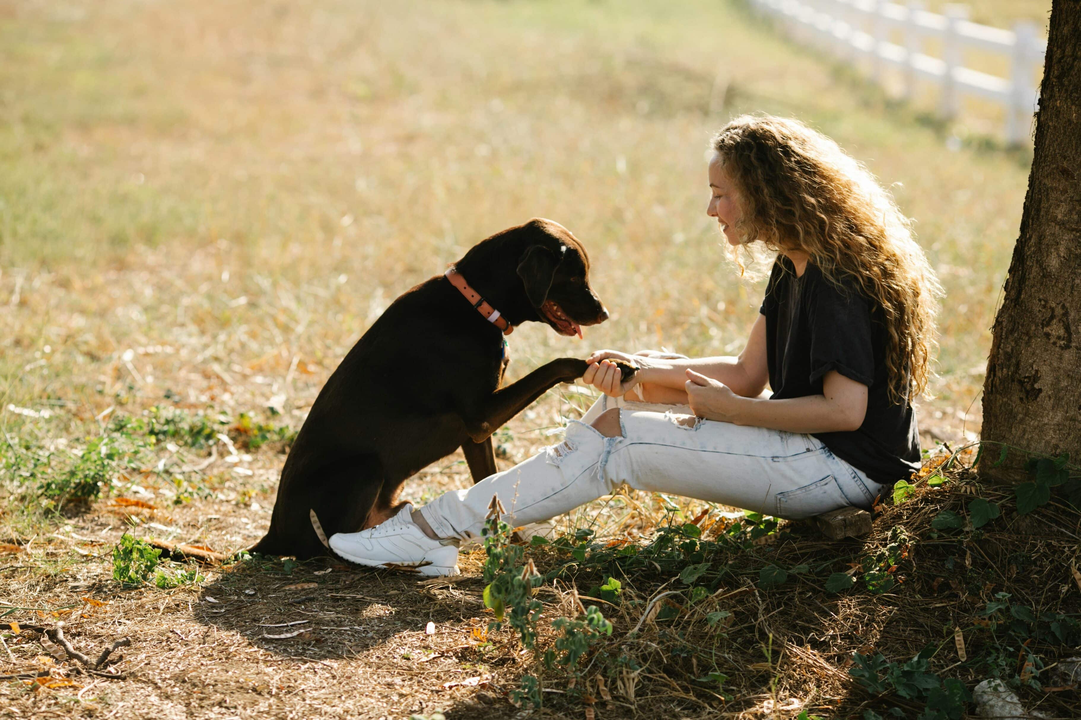 animales detectan enfermedades