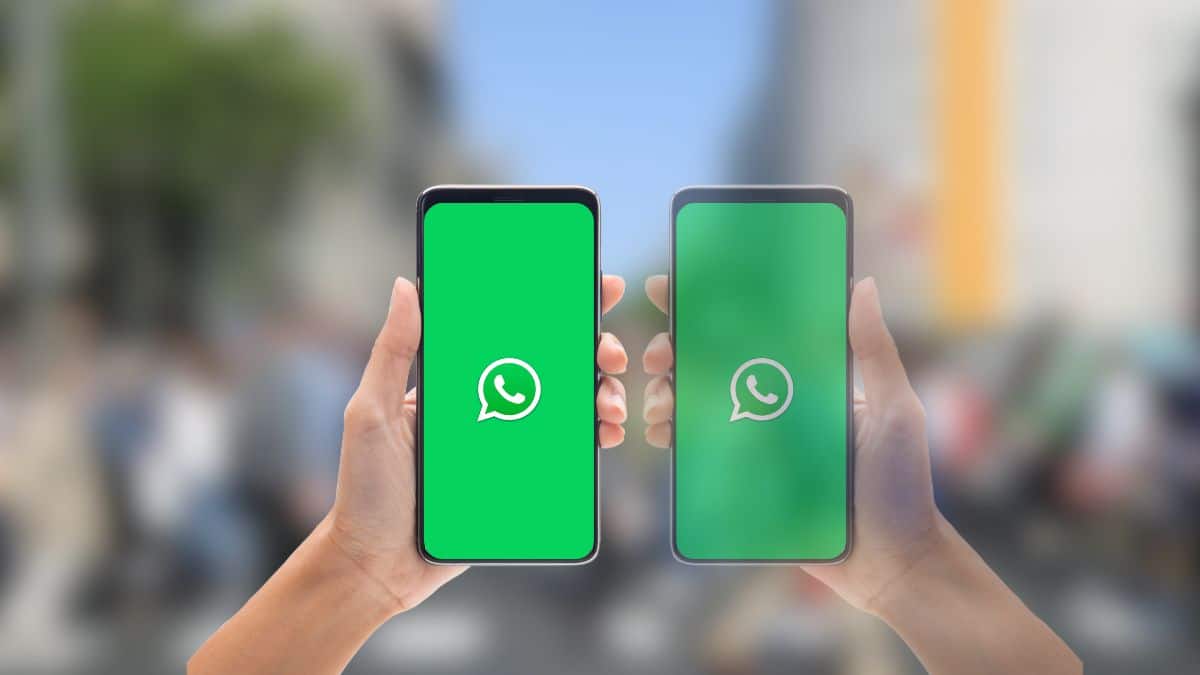 Cómo identificar si tu WhatsApp está clonado y qué hacer al respecto