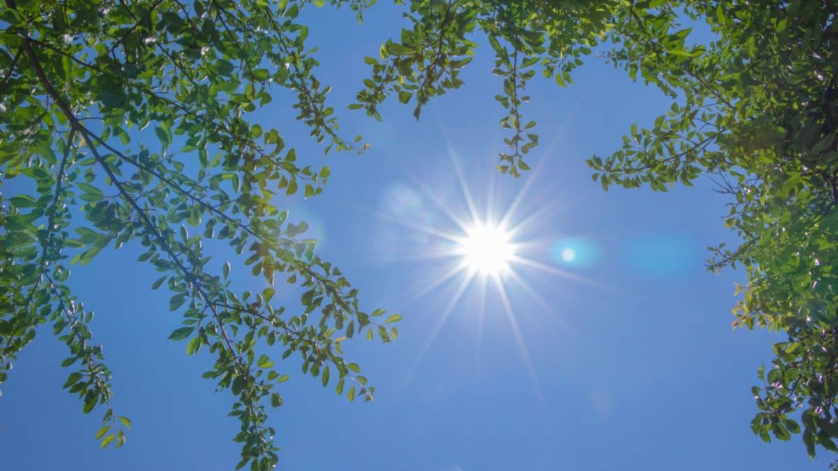 Alerta por altas temperaturas registradas por Ideam: Cali sobrepasó los 37 °C