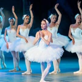 Festival Internacional de Ballet en la COP16: Una celebración de la danza en la agenda cultural