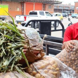 Estos son los retos y oportunidades del Banco de alimentos de Cali; apoyan a la comunidad