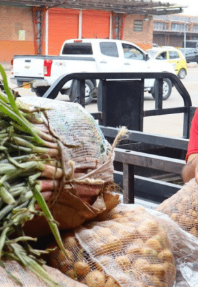 Estos son los retos y oportunidades del Banco de alimentos de Cali; apoyan a la comunidad