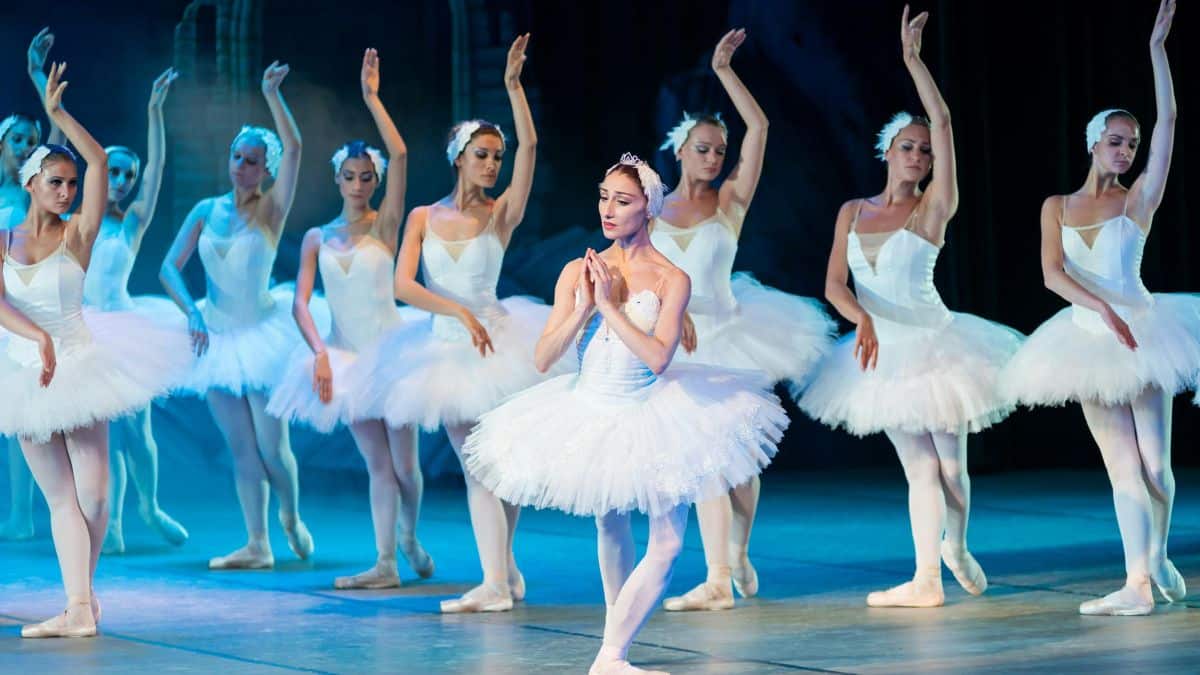 Festival Internacional de Ballet en la COP16: Una celebración de la danza en la agenda cultural