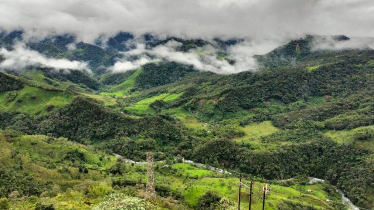 Proyecto buscaría crear espacios de conexión con la naturaleza en el río Anchicaya