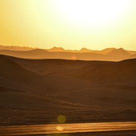 Olas de calor: ¿Qué son y por qué se dan cada vez más frecuentemente?