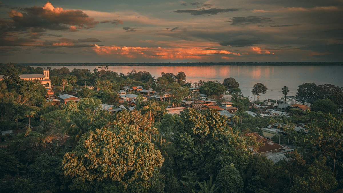 Así es la casa del árbol más alta del Amazonas: Ecoturismo y conservación