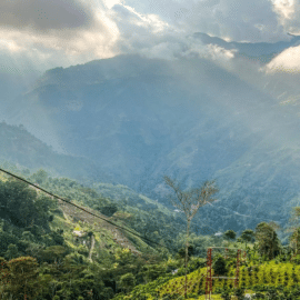 Conoce Caicedonia: Un tesoro escondido en el corazón del Valle del Cauca