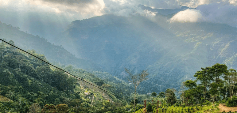 Conoce Caicedonia: Un tesoro escondido en el corazón del Valle del Cauca