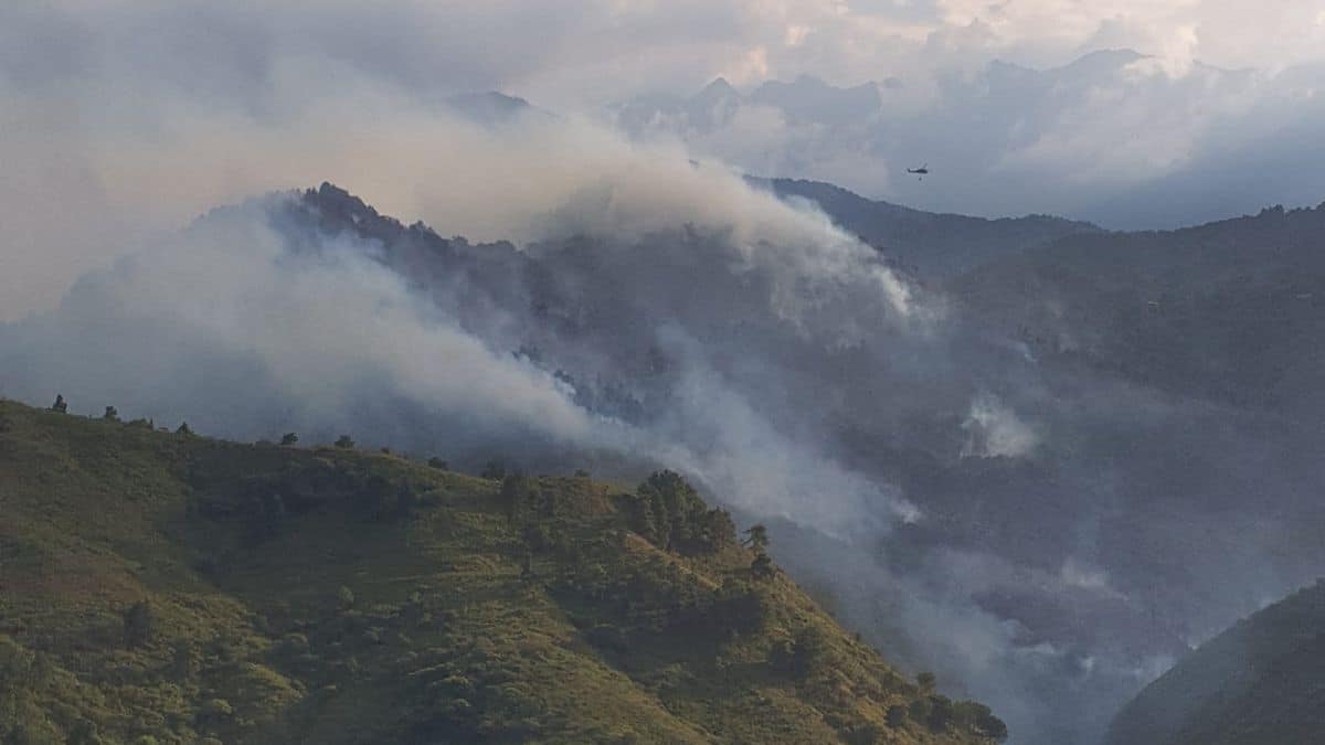 Incendio forestal en Pichindé: Bomberos de Cali continúan batallando para controlarlo