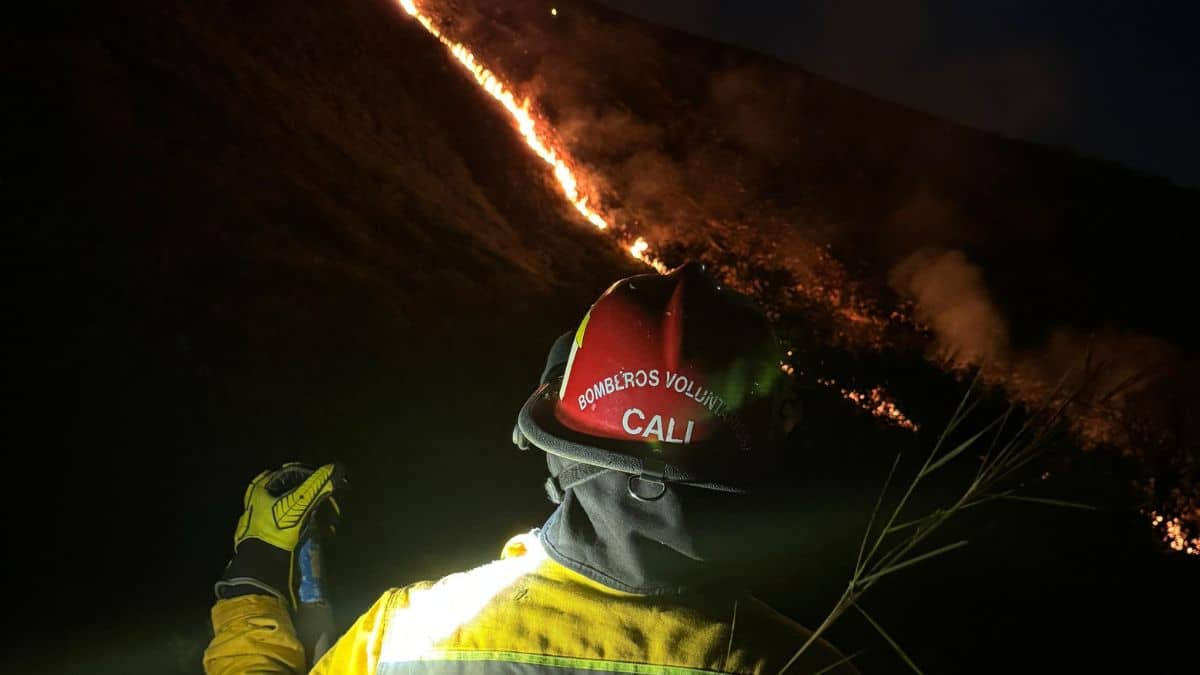 Imágenes: Así quedó el Cerro de Las Tres Cruces tras incendio forestal de este martes