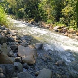 ¿Contaminación en el río Pance en Cali?: Esto dijo la CVC