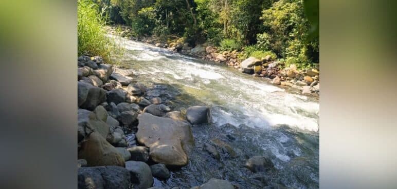 ¿Contaminación en el río Pance en Cali?: Esto dijo la CVC