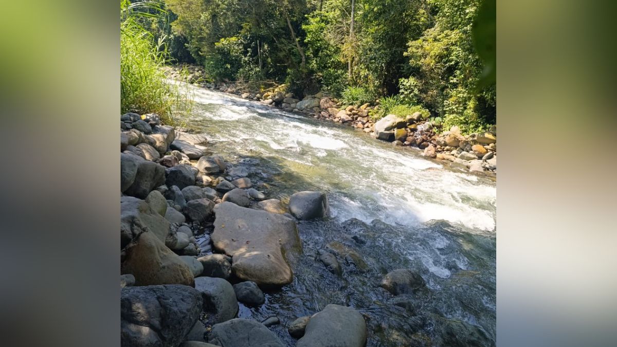 Posible contaminación en el río Pance