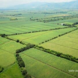 Comité Intergremial Empresarial del Valle: Estos fueron los proyectos estratégicos que se abordaron