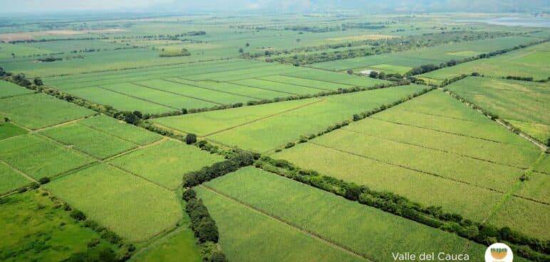 Tren de cercanías del Valle avanza con respaldo de la Unión Europea