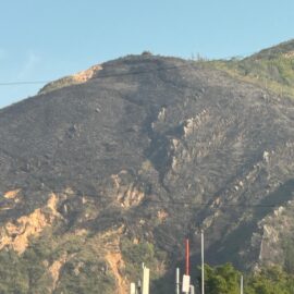 Así quedó el Cerro de Las Tres Cruces tras incendio forestal