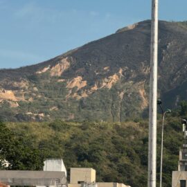 Así quedó el Cerro de Las Tres Cruces tras incendio forestal