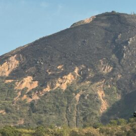 Así quedó el Cerro de Las Tres Cruces tras incendio forestal