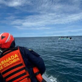 Rescate de ballena en aguas del Chocó