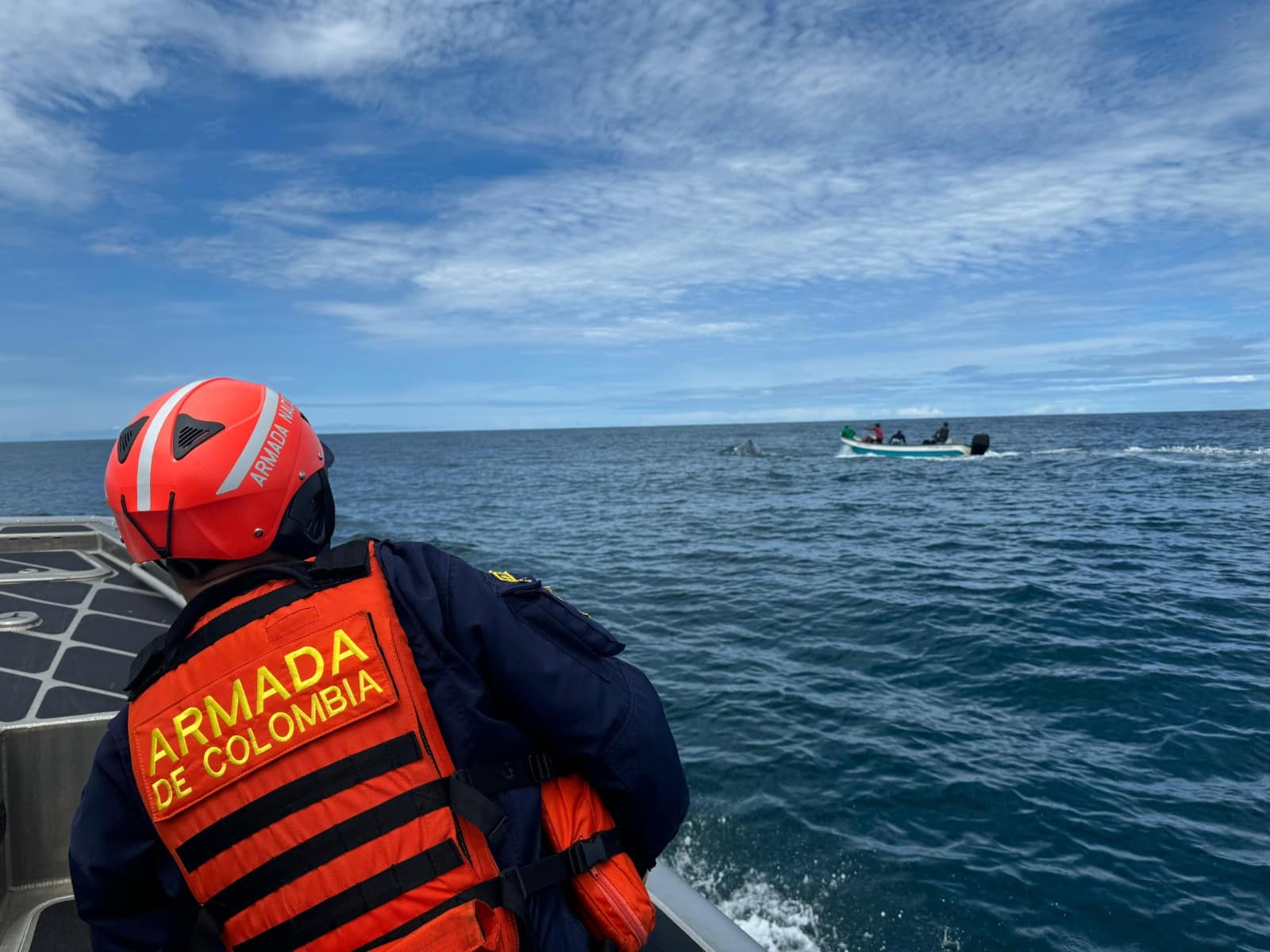 Rescate de ballena en aguas del Chocó