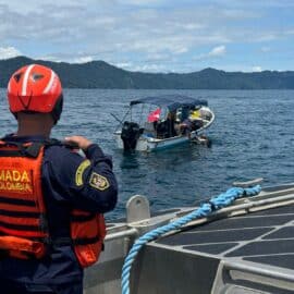 Segundo rescate de ballena en aguas del Pacífico chocoano